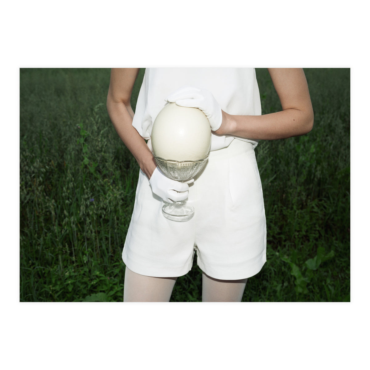 Dinosaur Inside (Print Only)