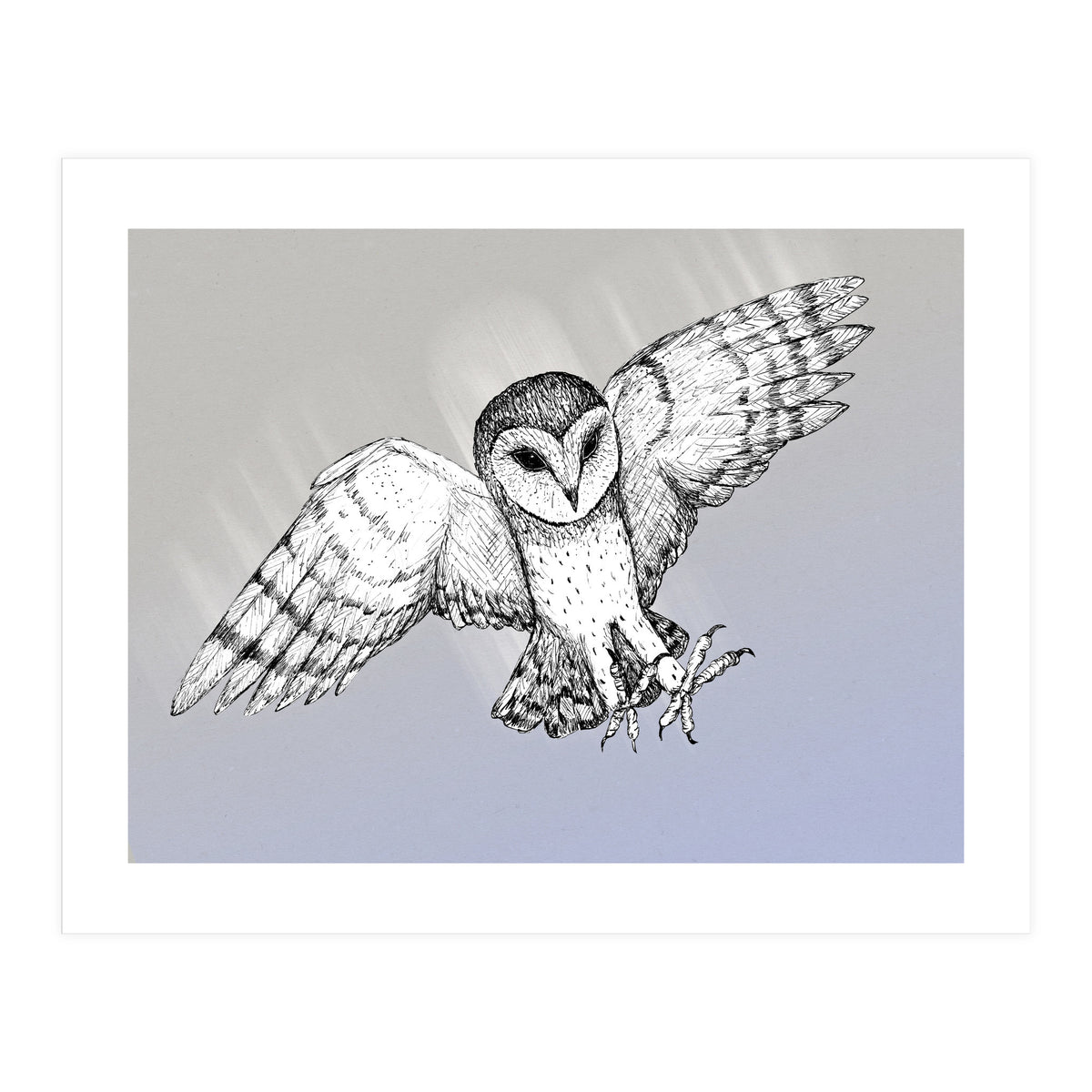 Attacking barn owl (Print Only)