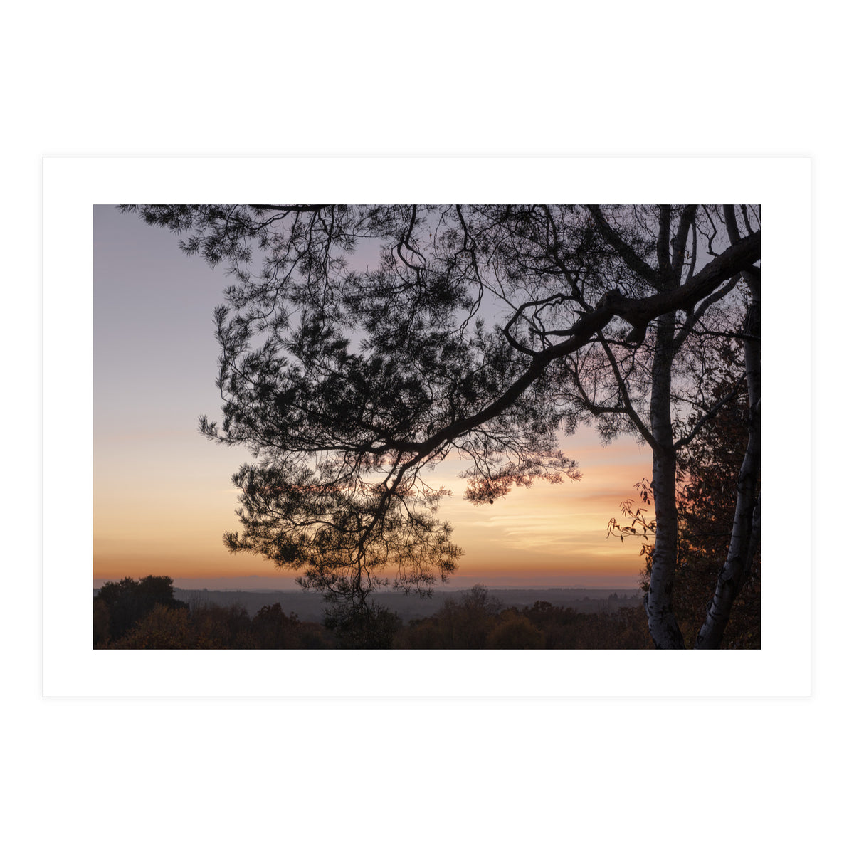 Sunset on Finchampstead Ridges - Berkshire (Print Only)
