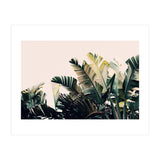 Paradise #4  (Print Only) thumbnail