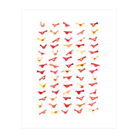 An Army Of Undisciplined Birds (Print Only)