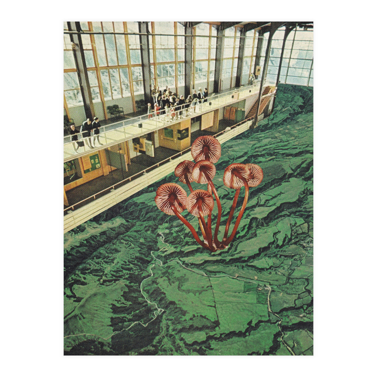 Mushroom Greenhouse (Print Only)