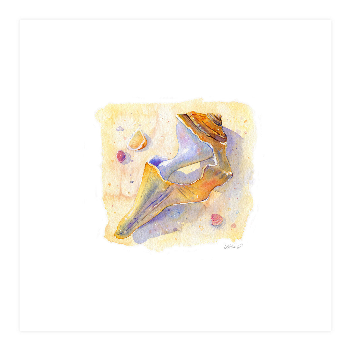 Old Shell (Print Only)