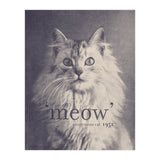 Famous Quote Cat (Print Only) thumbnail