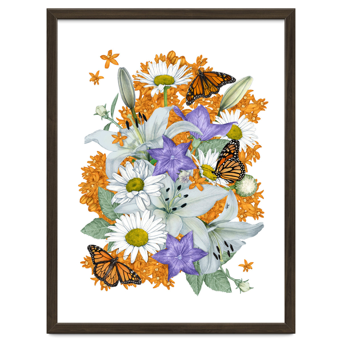 Lillies and Monarchs