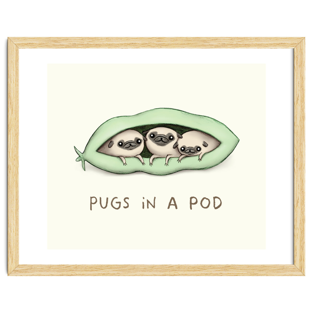 Pugs In A Pod