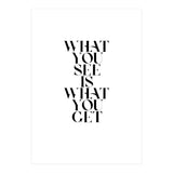 WHAT YOU SEE (Print Only) thumbnail
