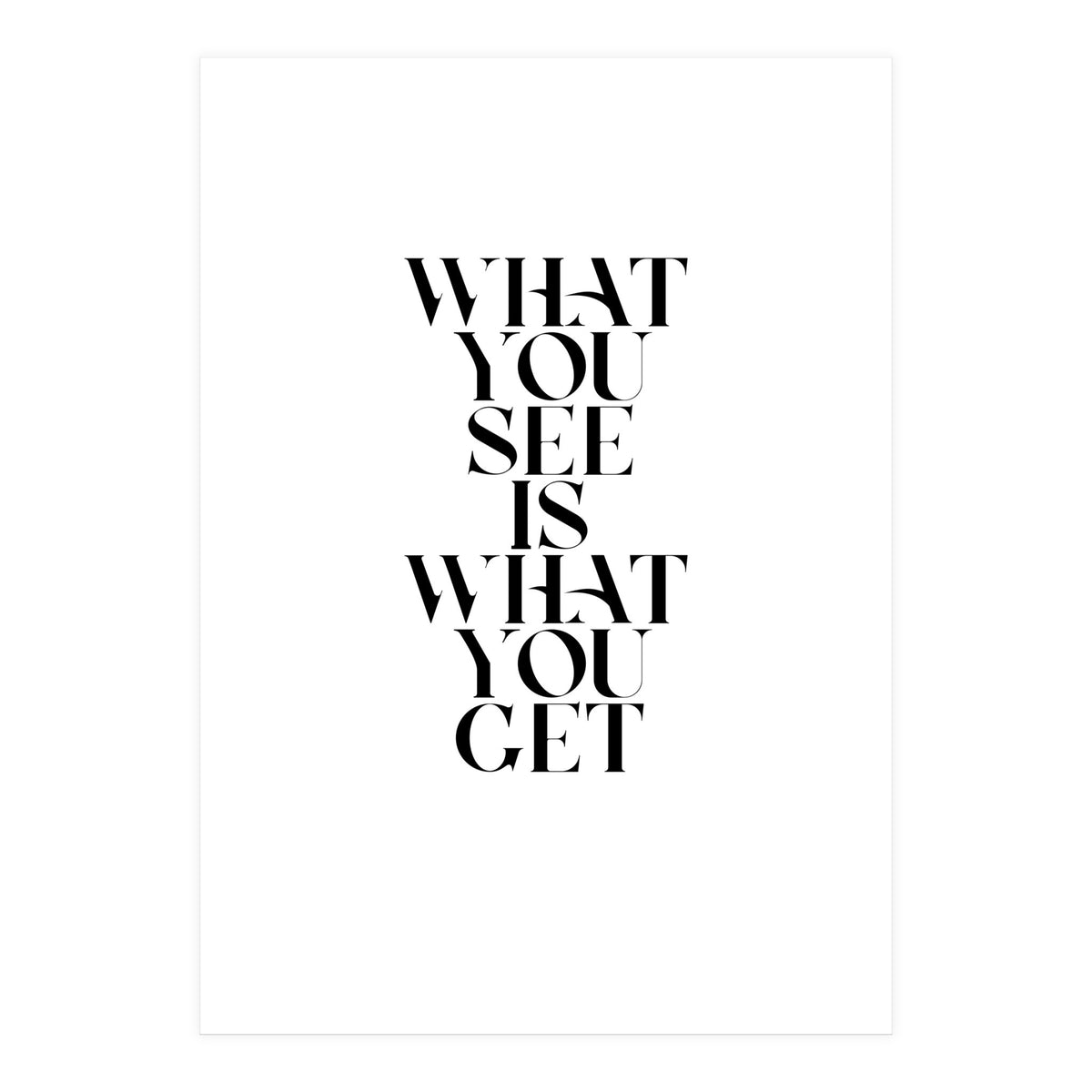 WHAT YOU SEE (Print Only)