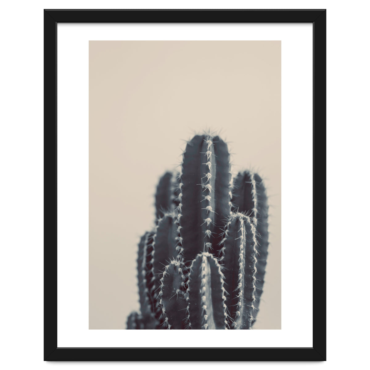 Vintage Cactus #1