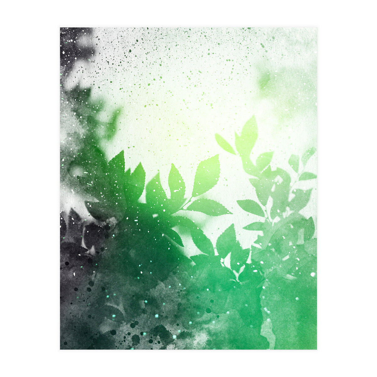 Leaves #3 (Print Only)