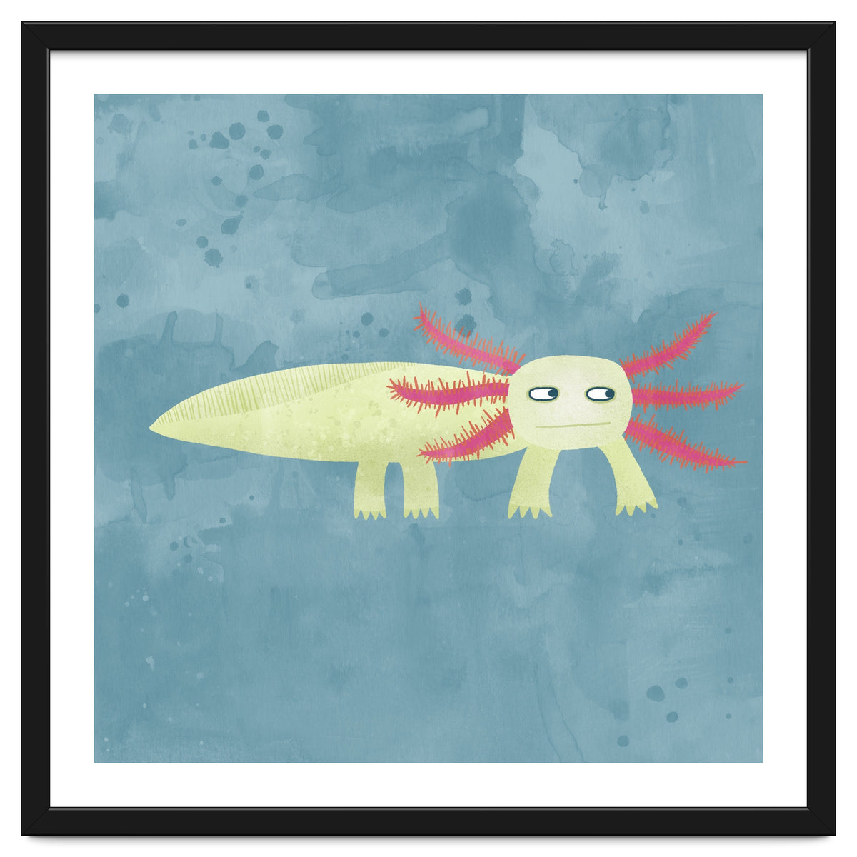 Axolotl