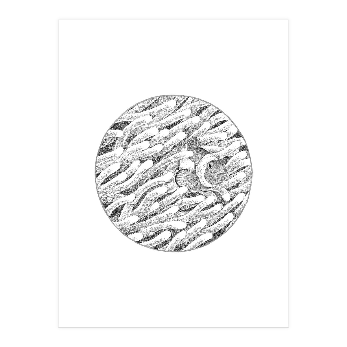 P.O. Underwater Gardens (Print Only)