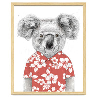 Summer Koala