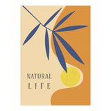 NATURAL LIFE (Print Only) thumbnail