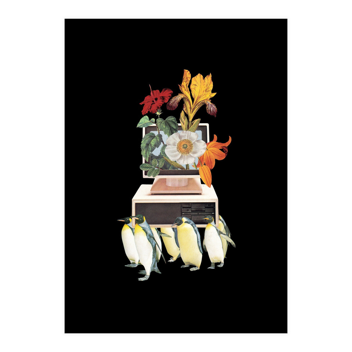 Penguin Os (Print Only)