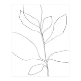 Seven Leaf Plant (Print Only) thumbnail