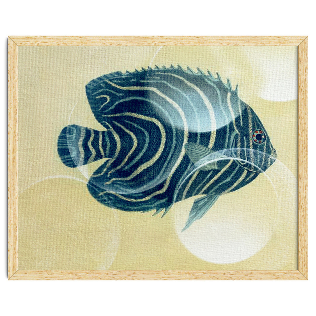 Fish Between Circles