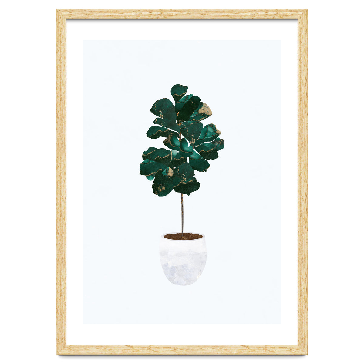 FIddle Leaf Fig gold and green