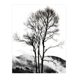 Rocky Mountains (Print Only) thumbnail