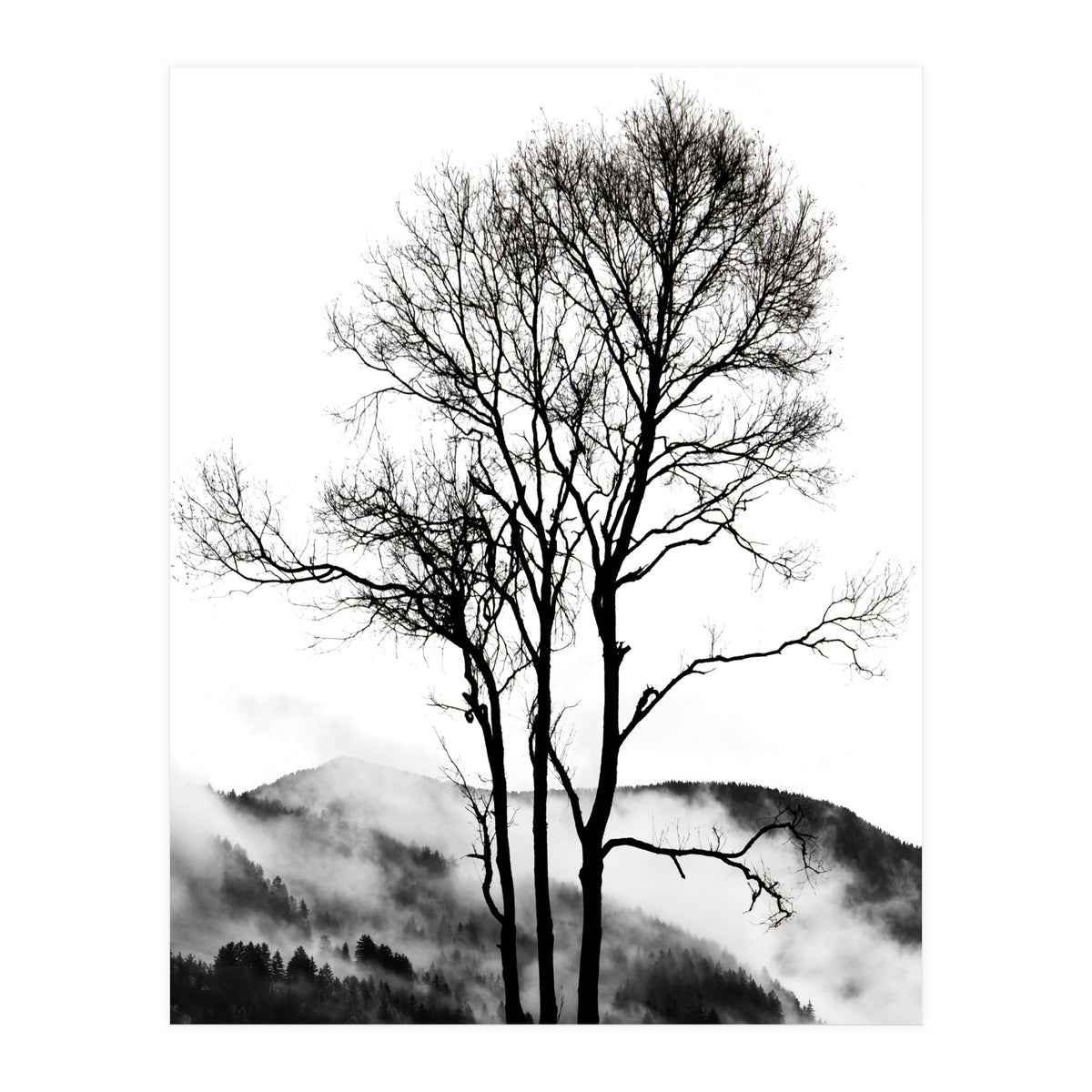 Rocky Mountains (Print Only)