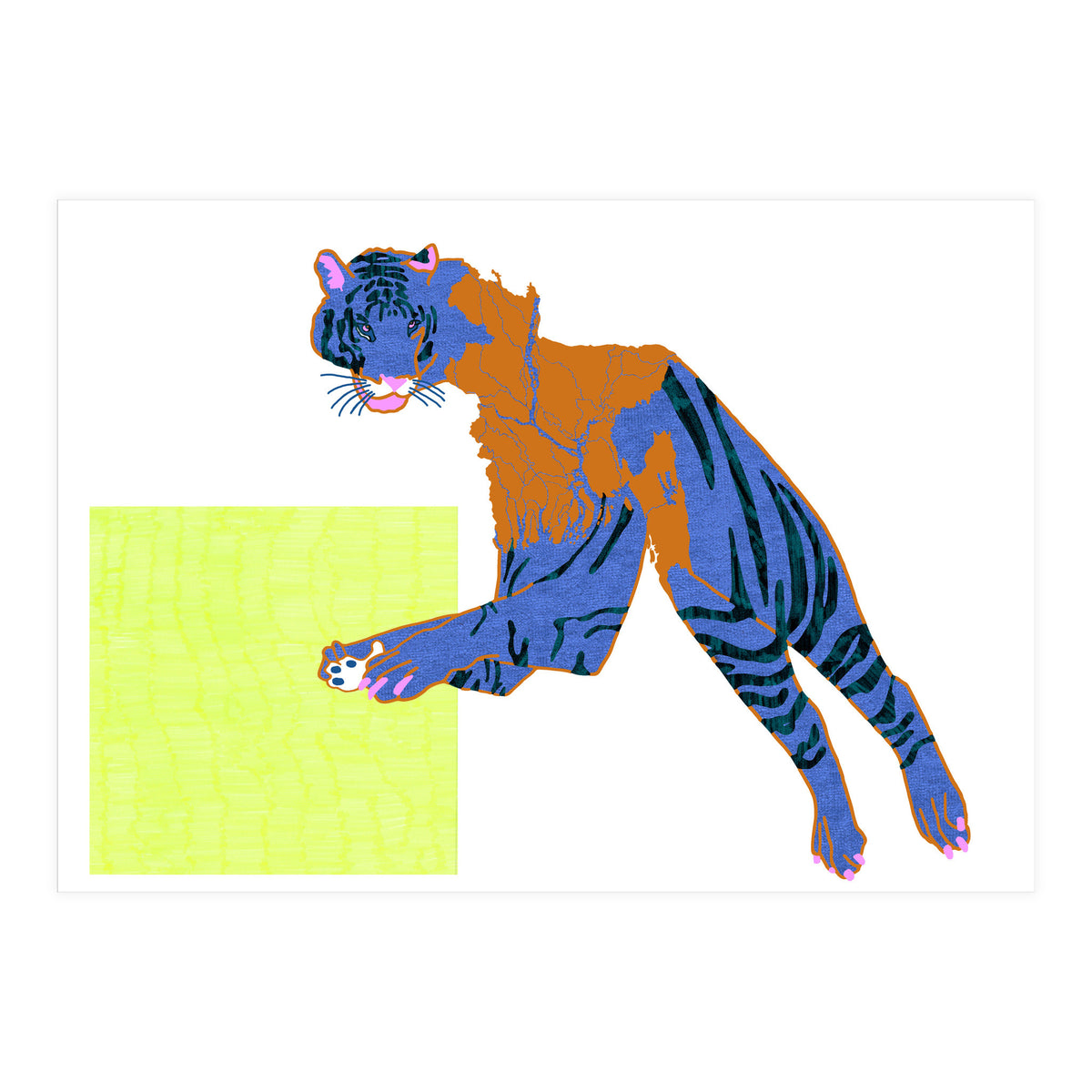 Bangladeshi Bengal Tiger  (Print Only)