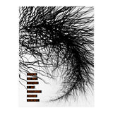 Mad Mind 2 (Print Only) thumbnail
