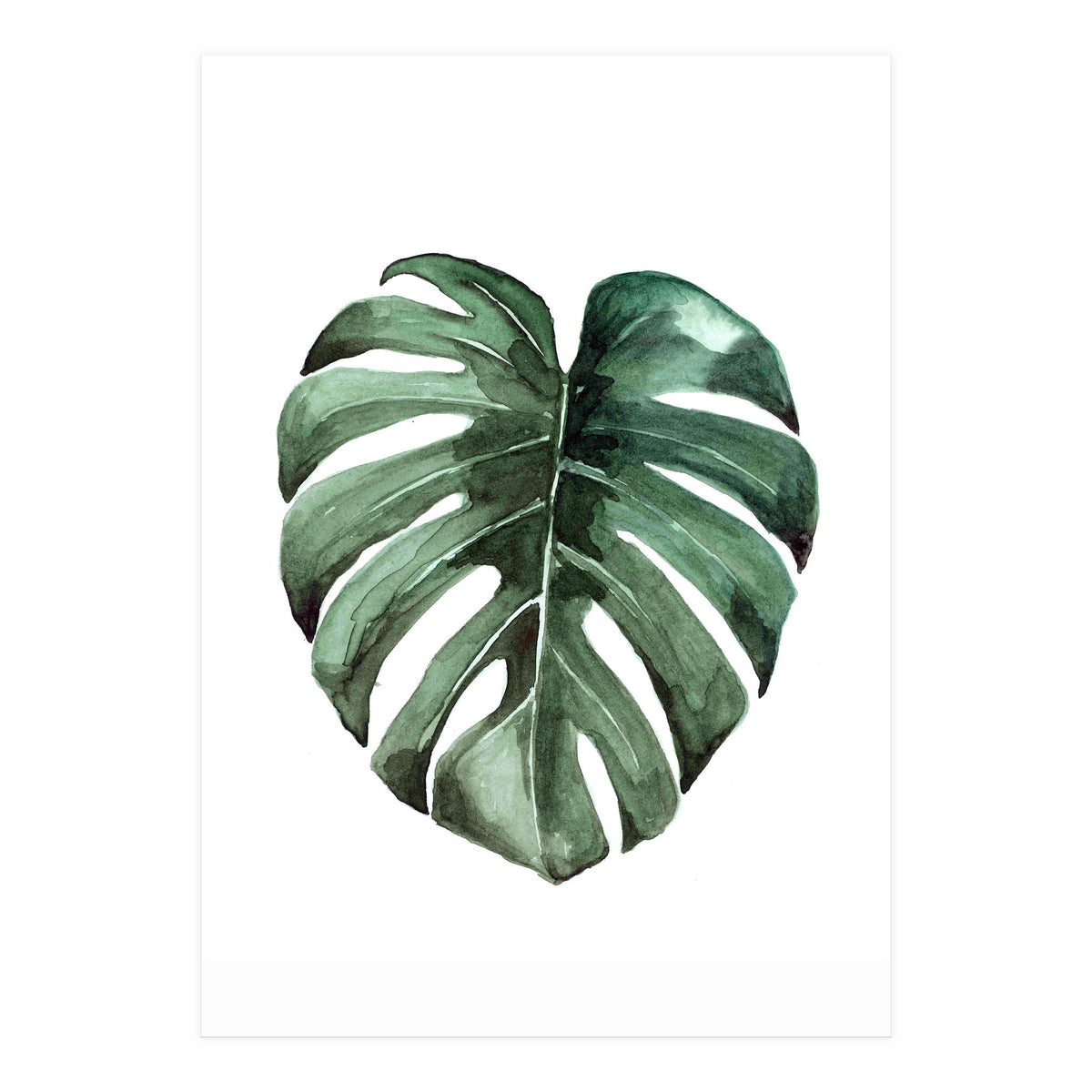 Botanical Illustration Monstera Deliciosa (Print Only)
