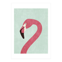 FAUNA / Flamingo (Print Only)