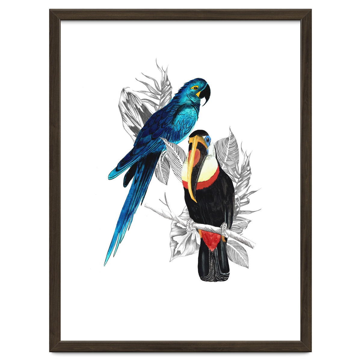 The Toucan and the Parrot
