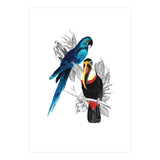 The Toucan and the Parrot (Print Only) thumbnail