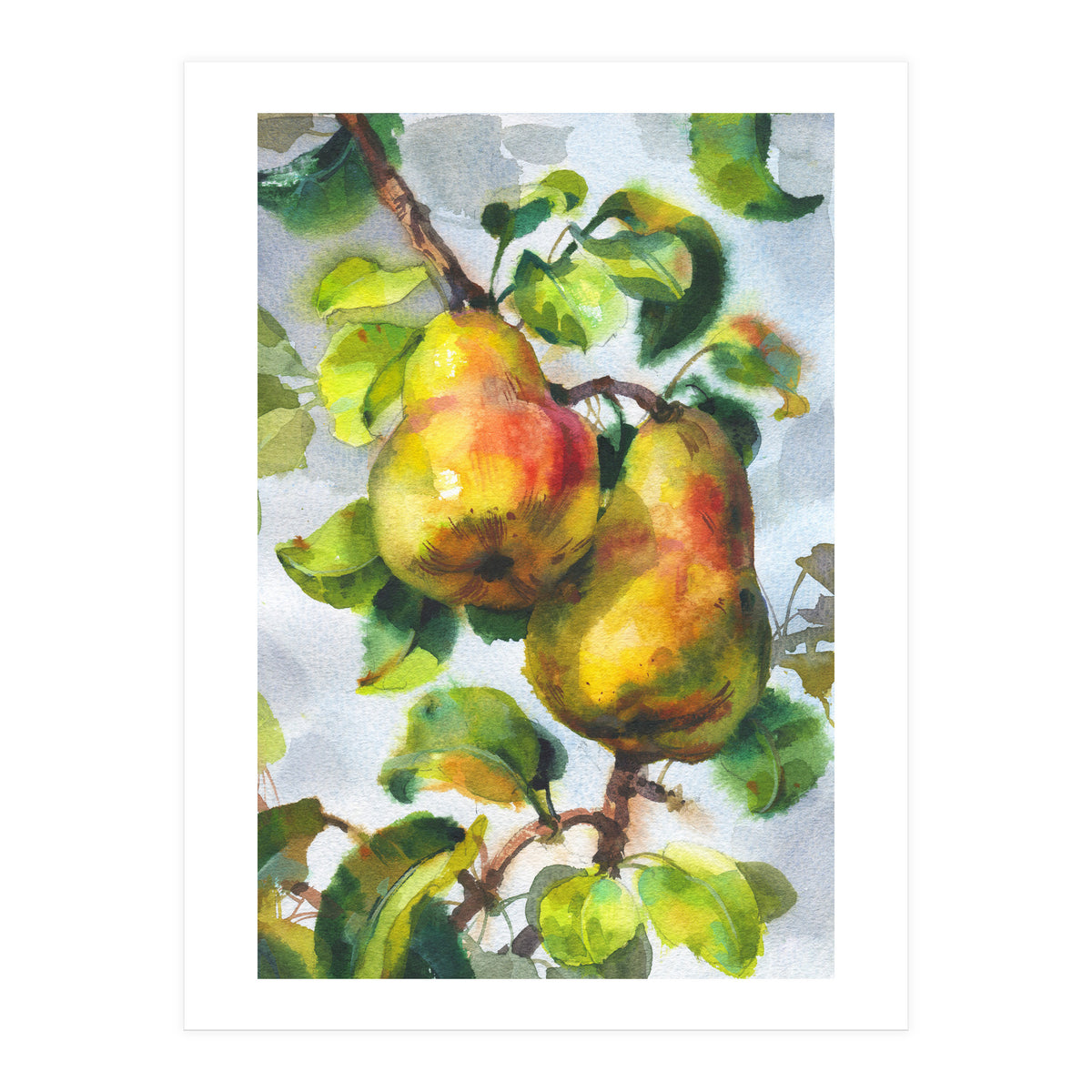 Pears (Print Only)