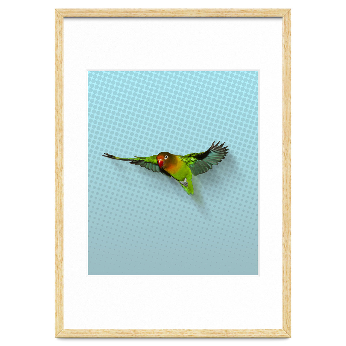 Flying lovebird