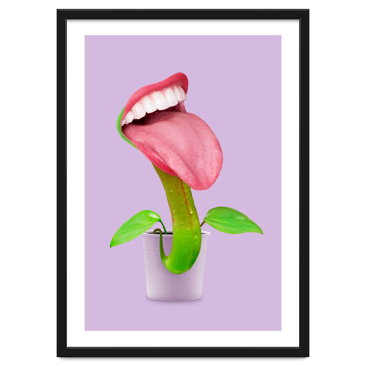 Carnivorous Plant