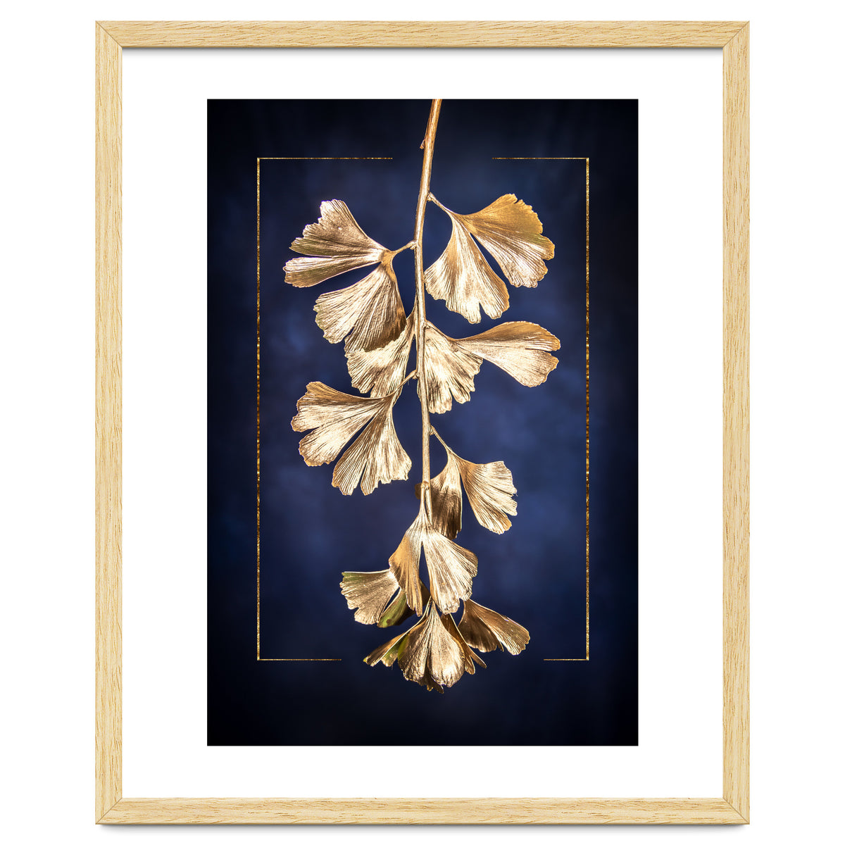 Golden Gingko Tree
