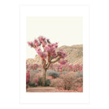 Boho Joshua Tree Cactus (Print Only) thumbnail