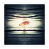 Glow (Print Only) thumbnail