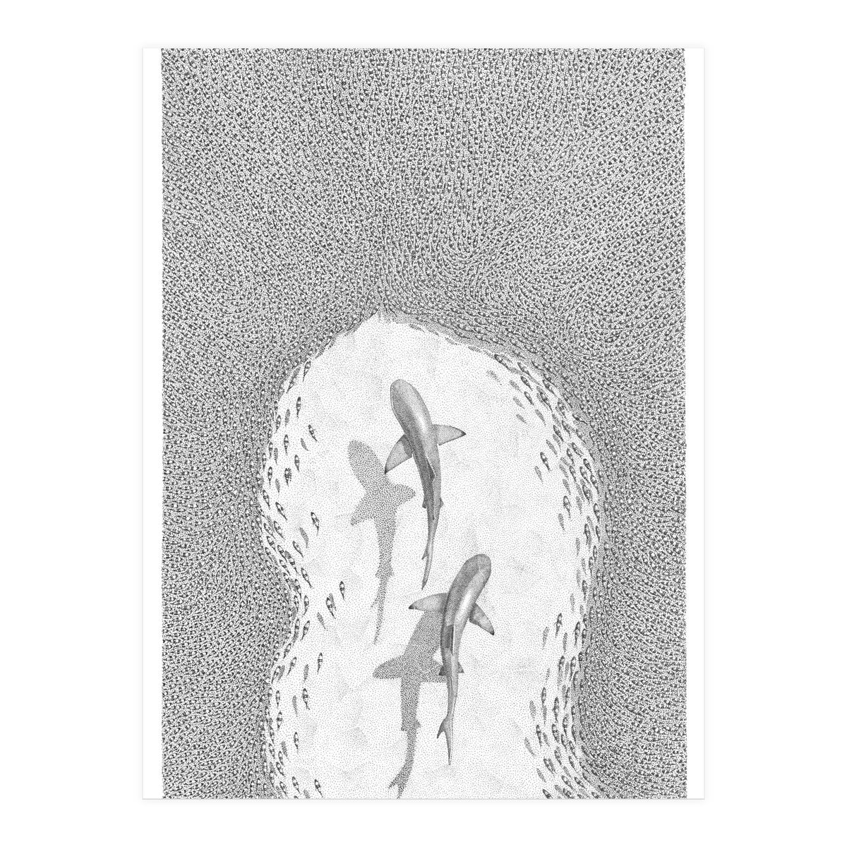 Strength in numbers (Print Only)