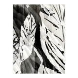 Tropical Season BW 3 (Print Only) thumbnail