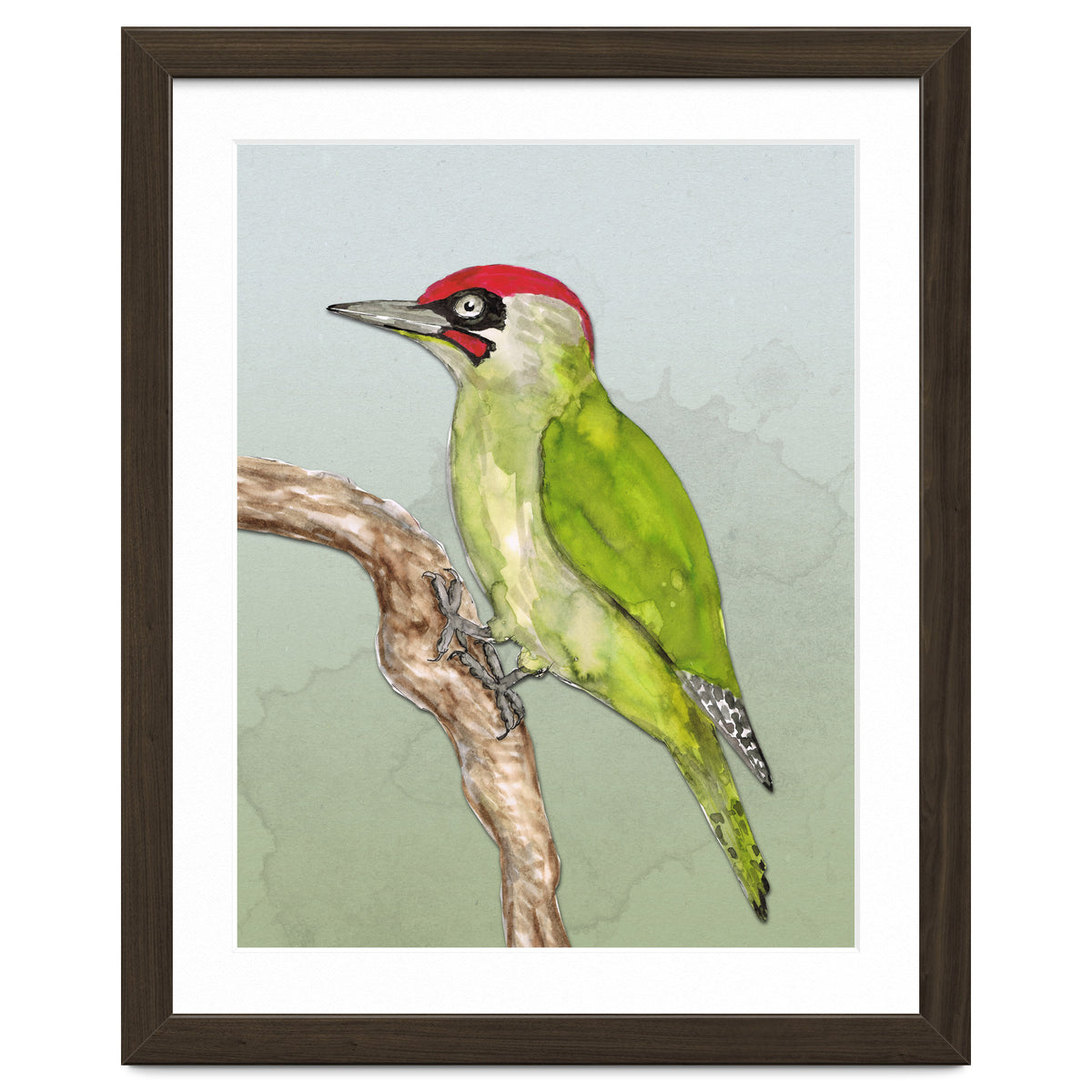 Green woodpecker
