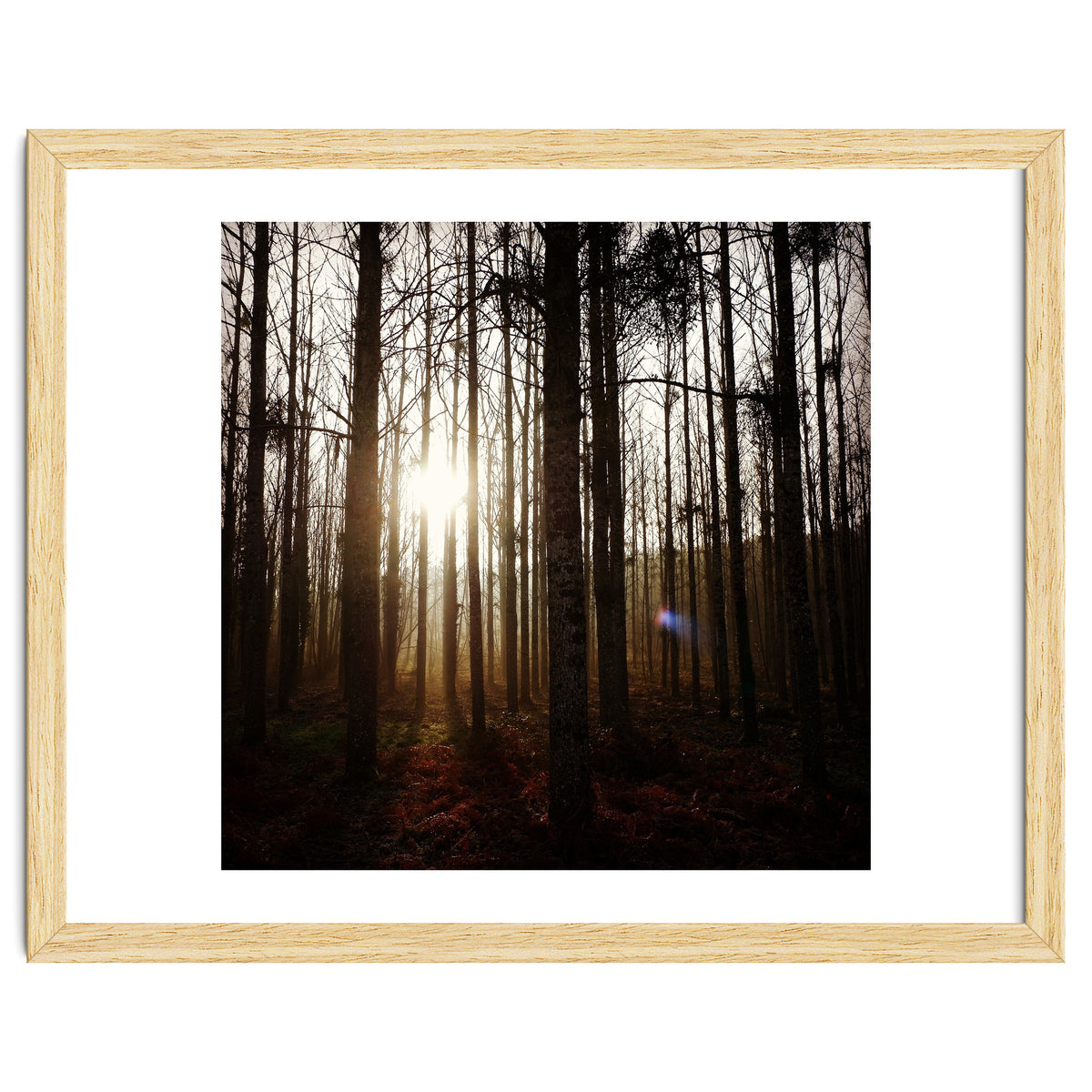 D3 A0 Cf3 E 6509 400 C 926 D 905230 D93 F61