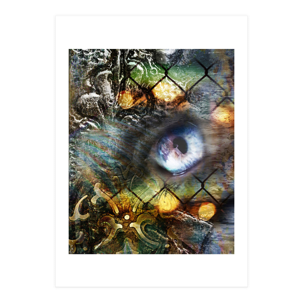 Perceptions (Print Only)