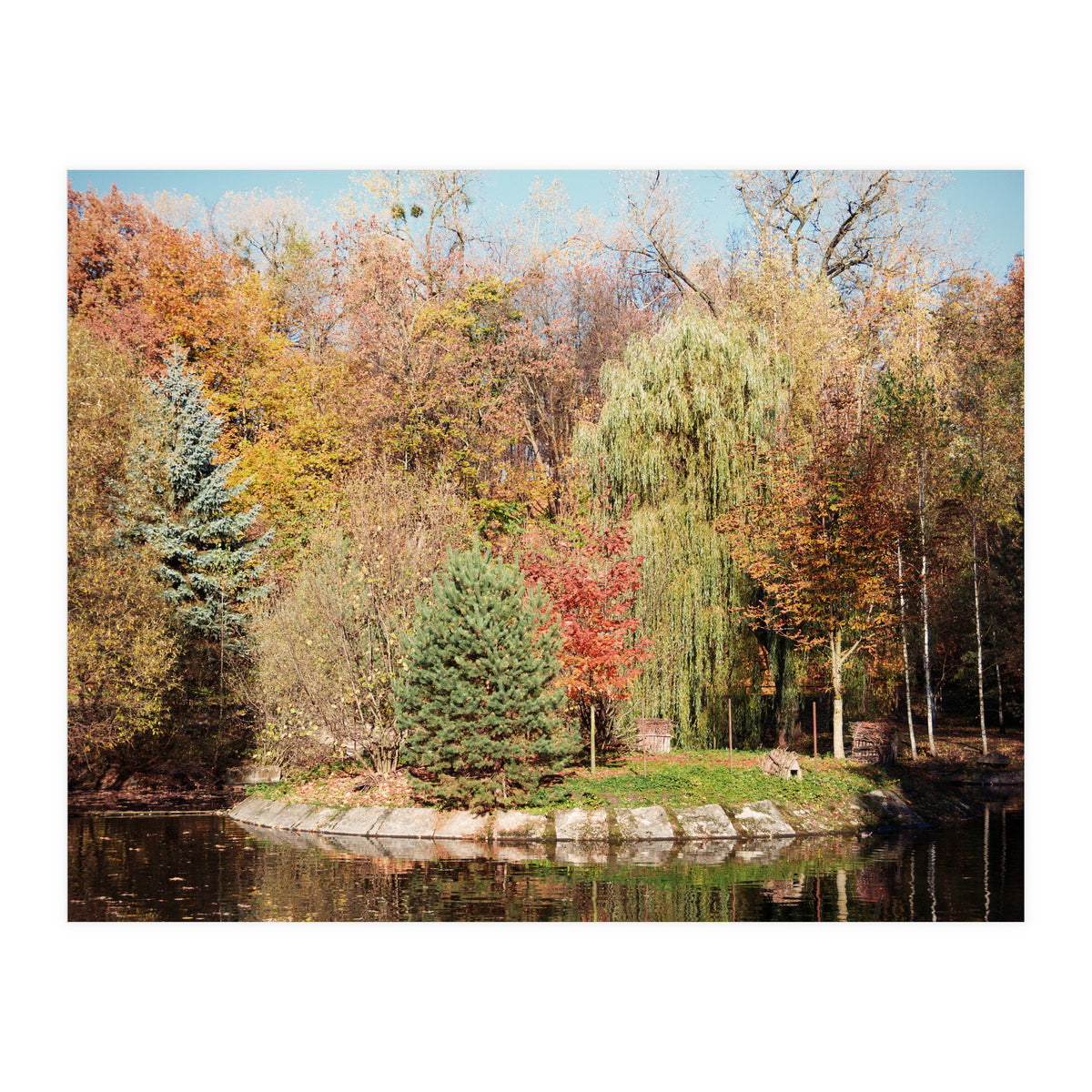 Camouflaged Animals (Print Only)