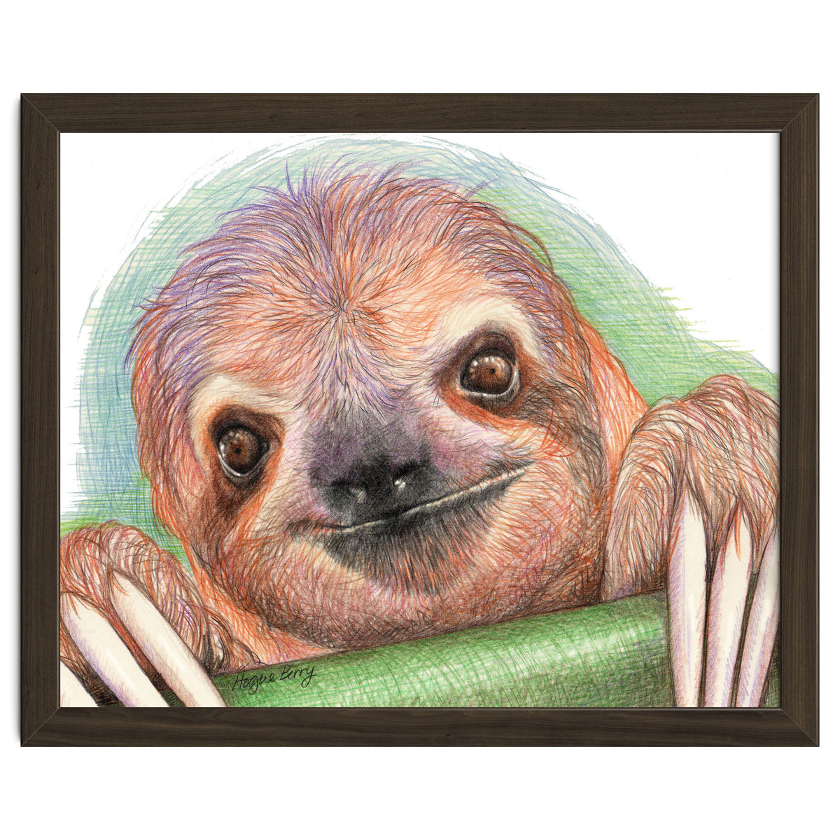 Smiling Sloth