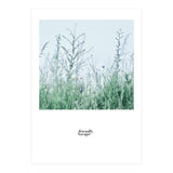 Friendly escape - Nature Photography - (Print Only) thumbnail