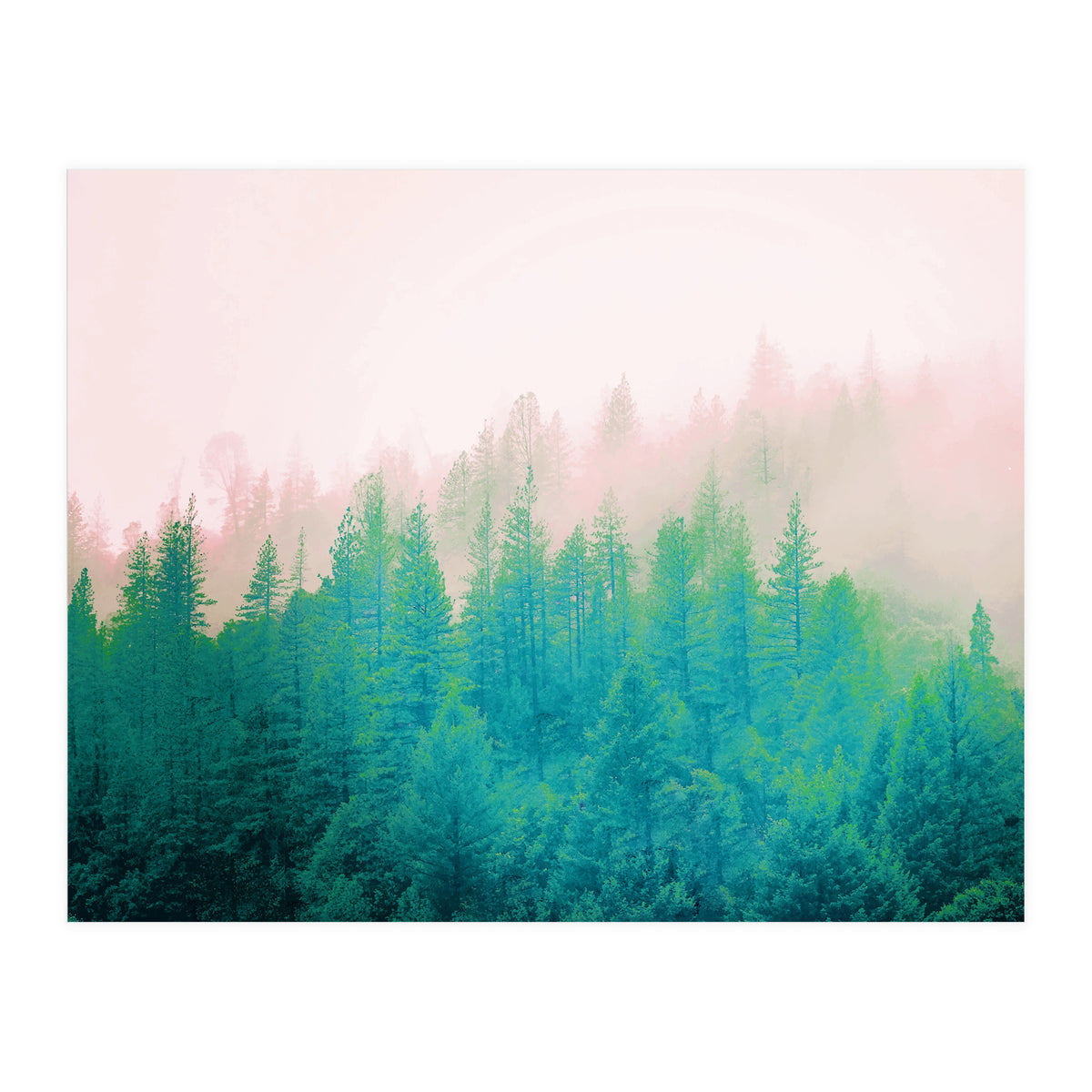 Forest Fog V2 (Print Only)