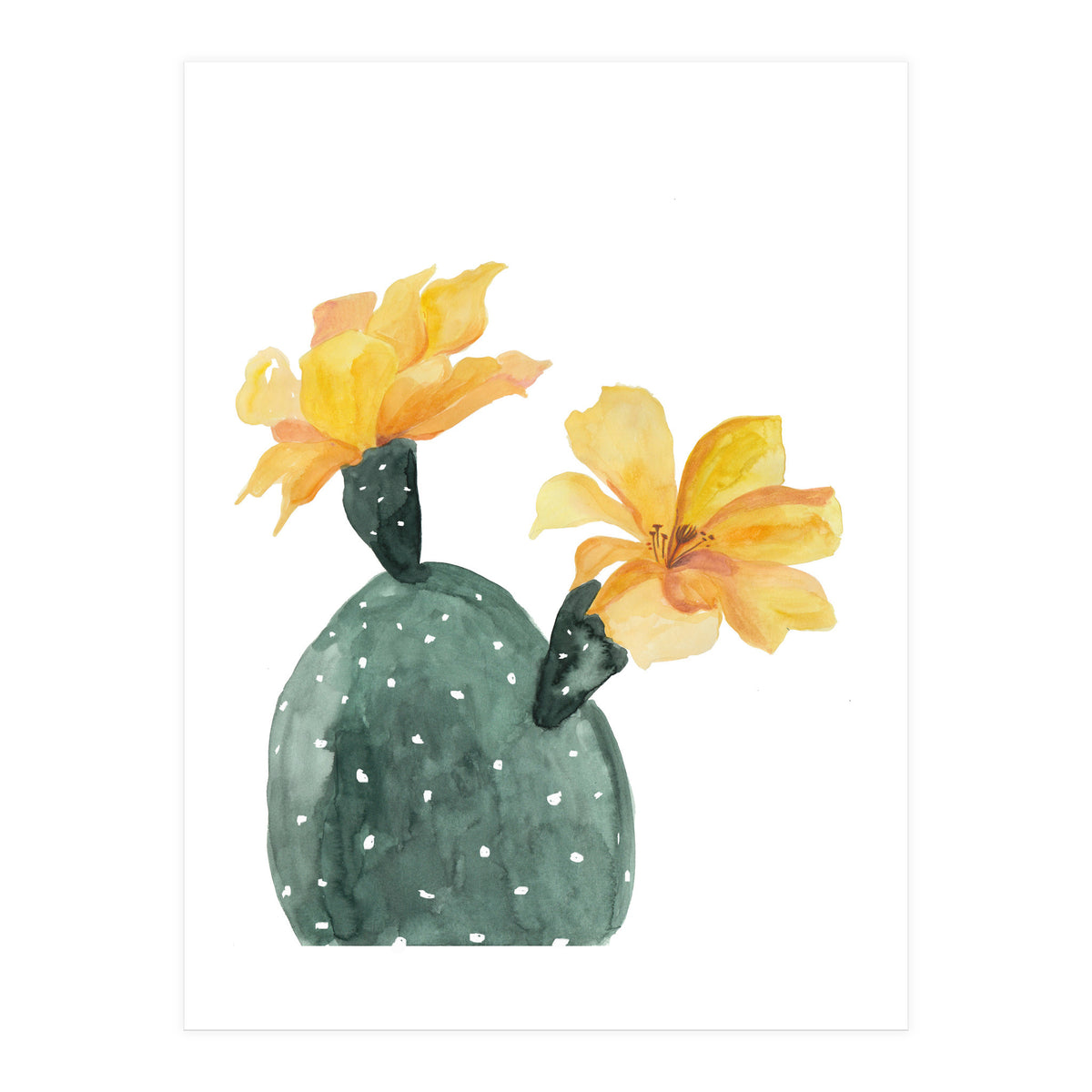 Botanical Illustration Yellow Cactus Flowers (Print Only)