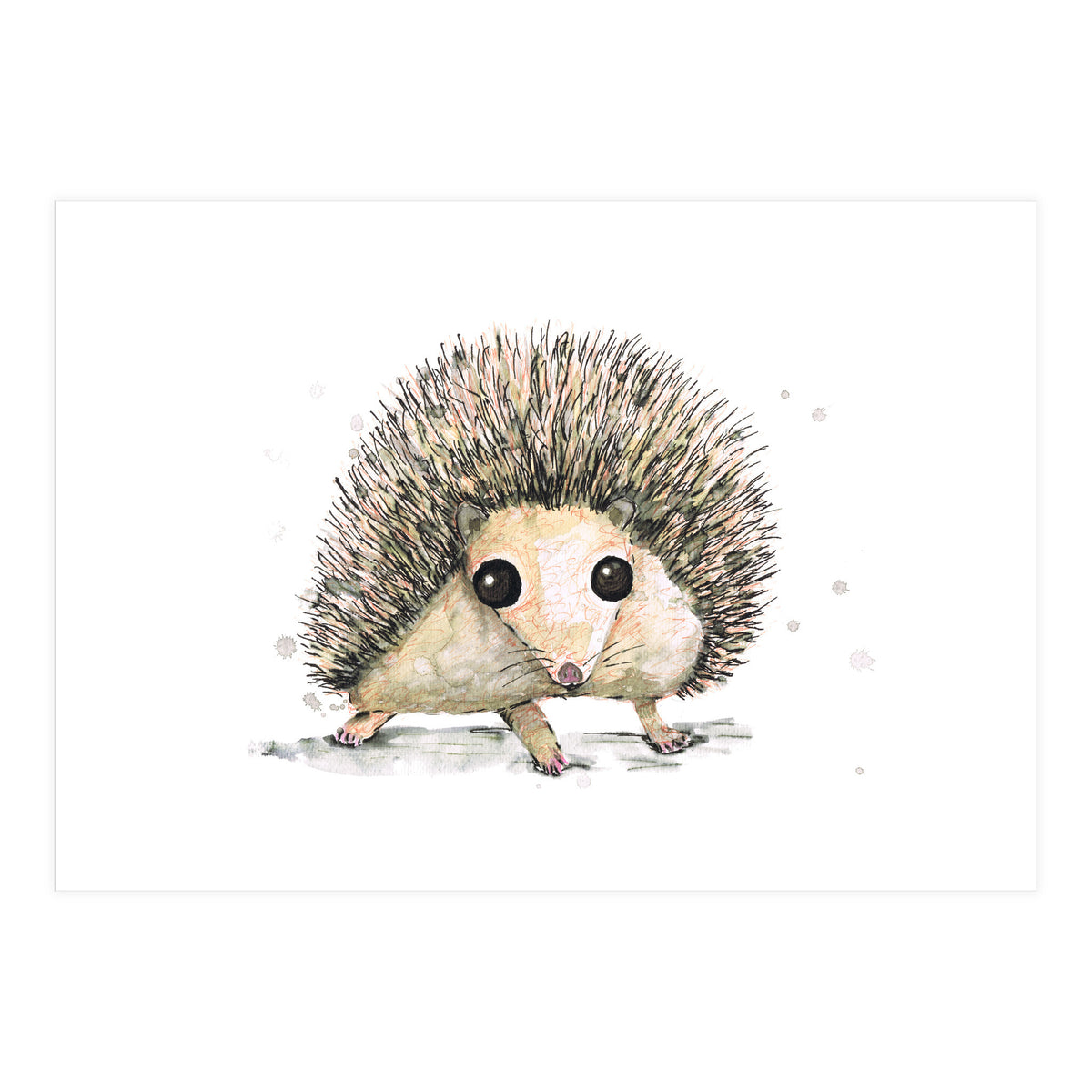 Hedgehog (Print Only)
