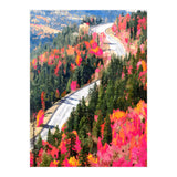 Valley of Pink Trees | Fantasy Pop of Color Forest Nature | Jungle Adventure Road Trip Pine (Print Only) thumbnail