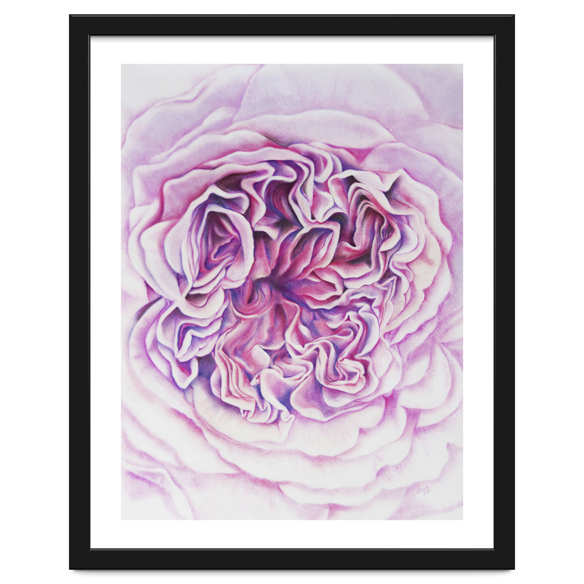 A Rose Is A Rose Std