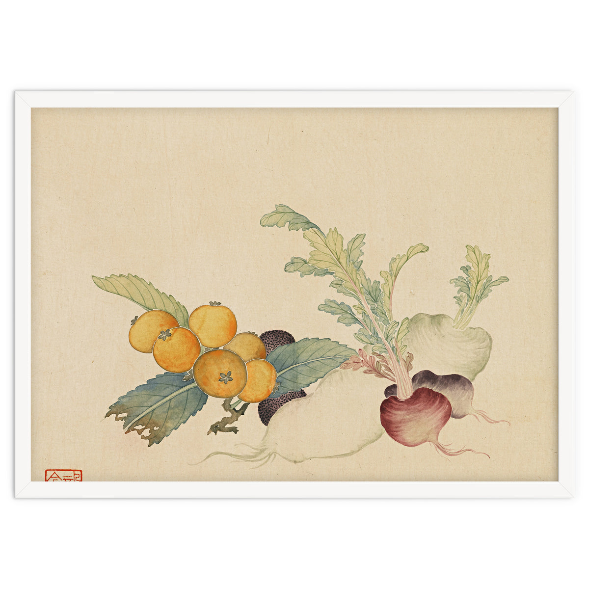 Wang Chengpi~flowers And Vegetables, Vegetables, Fruits, Loquat, White Radish, Carrot, Radish